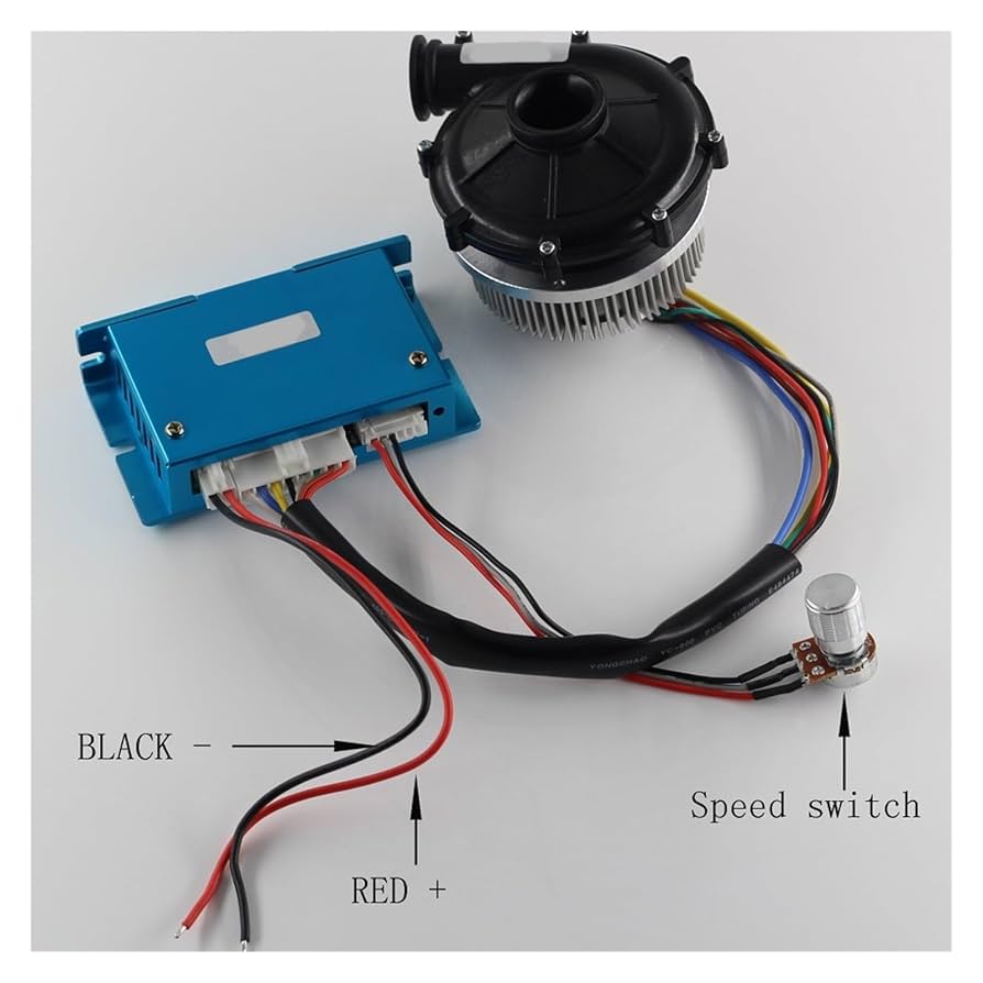 ファン・アーホルト ファン・アーホルト Amazon | LIVE DIO ZX(AF34/35) 50CC